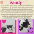 Sandy