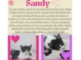 Sandy