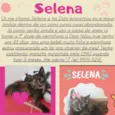 Selena 