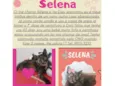 Selena 