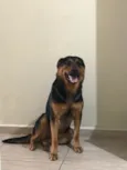 Julie