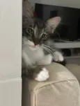Fred