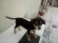 Bolinha