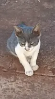 Mia
