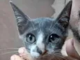 Mia