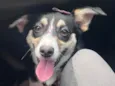 Maggie