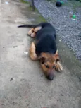 Eros