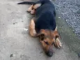 Eros