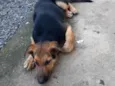Eros