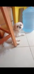 Jack