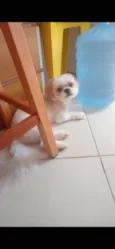 Jack