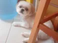 Jack