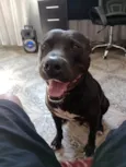 Laio