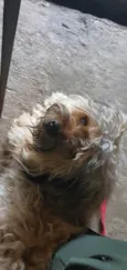 Fred