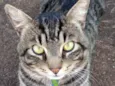 Tom