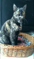 LUÍSA