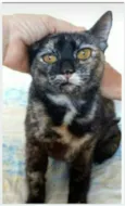 LUÍSA