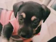 Molly