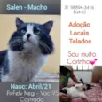 Salen