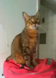 NALA