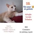 Sol