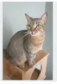NALA