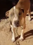 Eros 