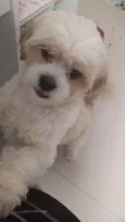Paçoca