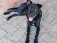 JUNIOR