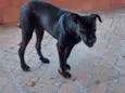 JUNIOR