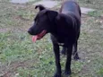 JUNIOR