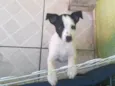 sem nome por enquanto