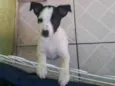sem nome por enquanto