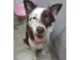 Zoe