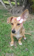 Melzinha