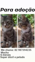 Tom
