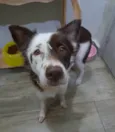 Zoe