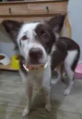 Zoe