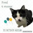 Fred
