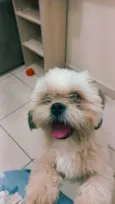 Miguel