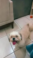 Miguel