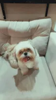 Miguel
