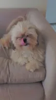 Miguel