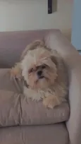 Miguel