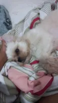 Miguel