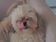 Miguel