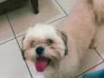 Miguel