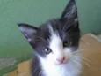 Se nome