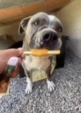 Fiona