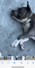 Fiona